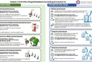 В чём особенность Закона «Об изменении законов по вопросам предпринимательской деятельности»?