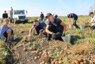 У поставских цветоводов 2-е место в конкурсе на лучшее оформление клумбы из живых цветов