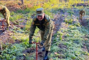 Пограничники приняли участие в акции "Дай лесу новае жыццё"