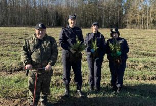 Следователи Поставского РОСК присоединились к акции "Дай лесу новае жыццё!"
